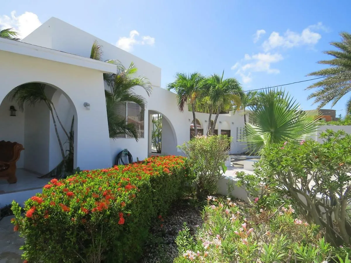 Tanki Leendert Palm Beach Vacation Villa ארובה